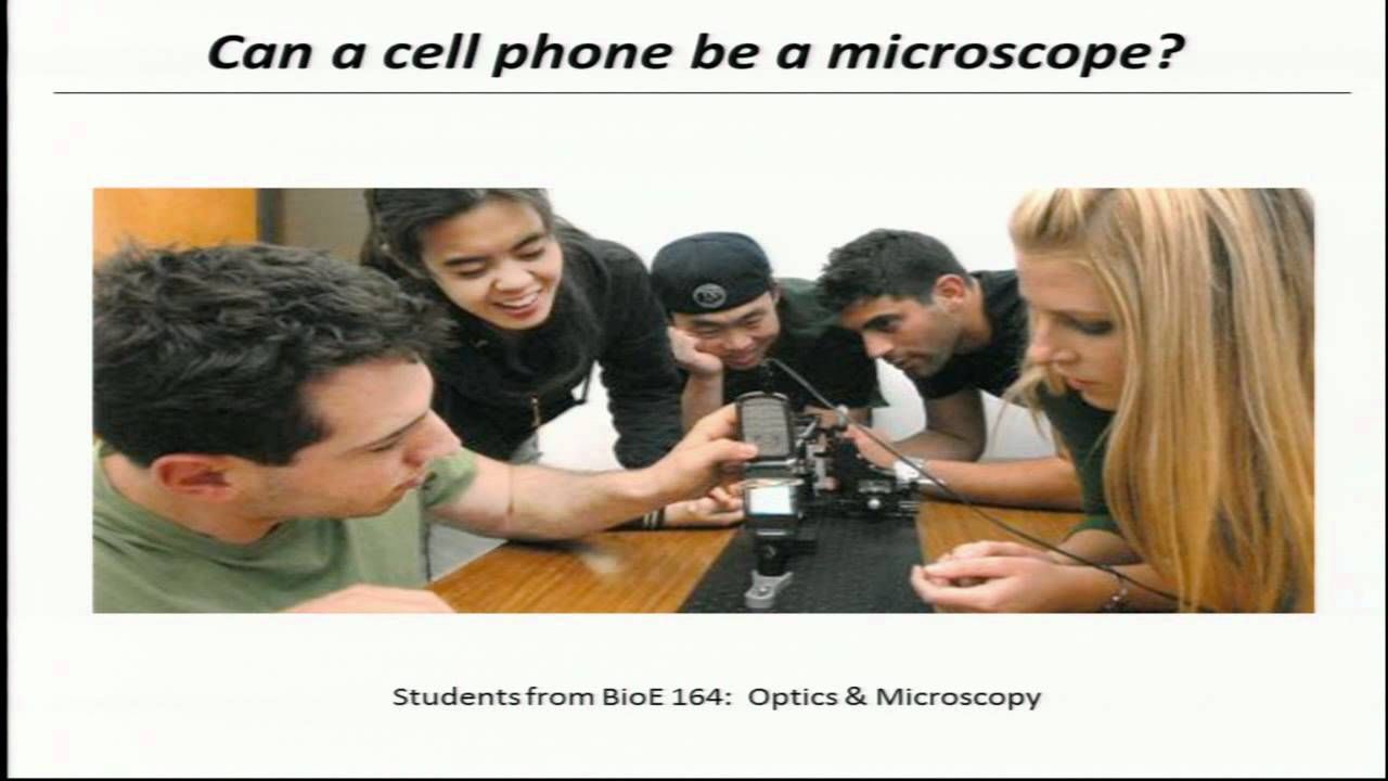 2012 BAGH Global Health Diagnostics Panel