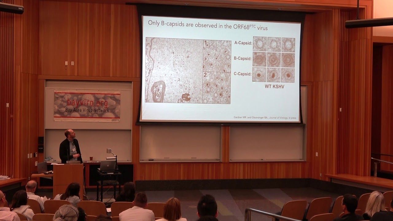 8th Annual Bay Area Symposium on Viruses (BayViro)