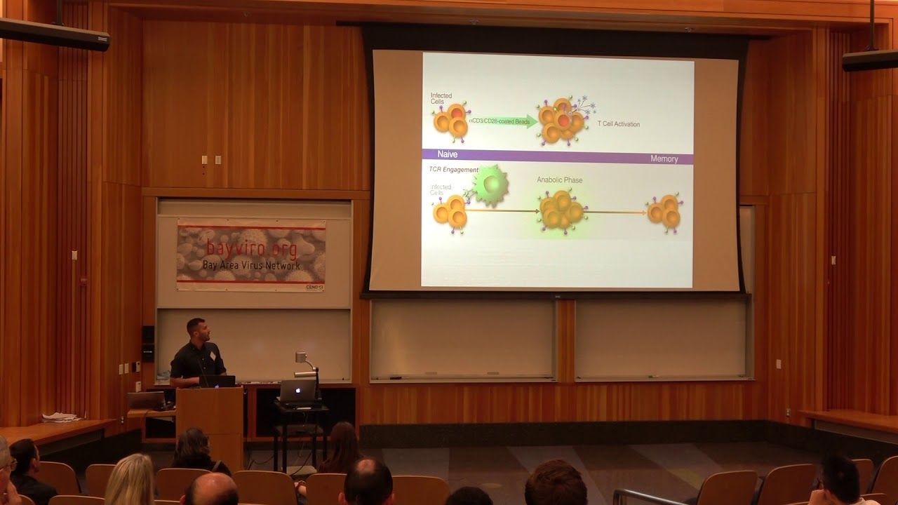 Andrea Gramatica, Gladstone Institutes, Greene Lab