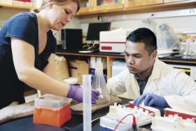 2018 MHIRT Fellow to Conduct Malaria Research in Malawi