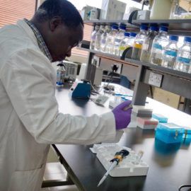 UC Berkeley Launches the Alliance for Global Health and Science