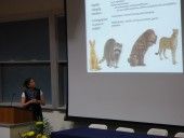 Slide 14