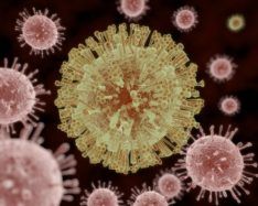 CEND investigator Eva Harris publishes important Zika study – 20% of pregnant women infected at the height of the epidemic