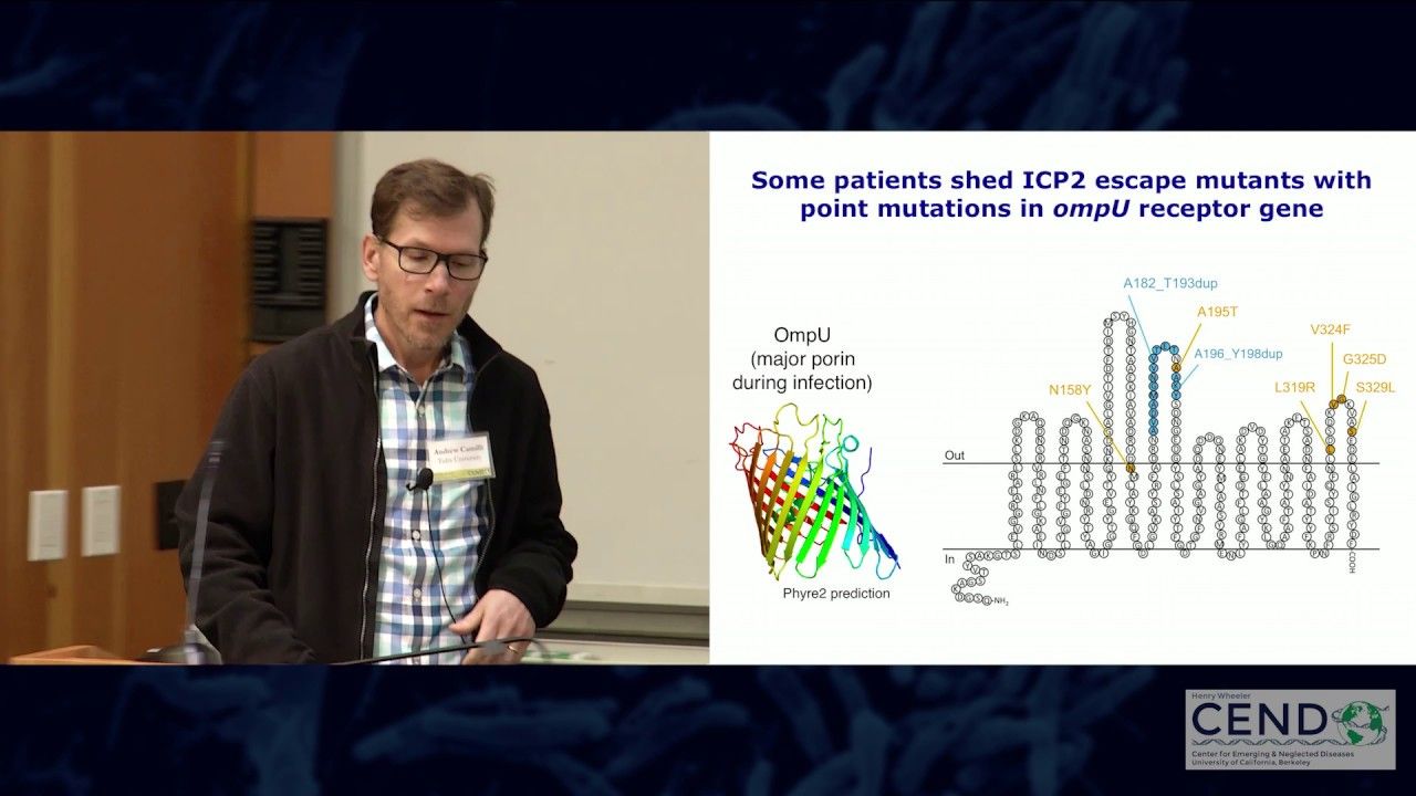 Andy Camilli, Tufts University