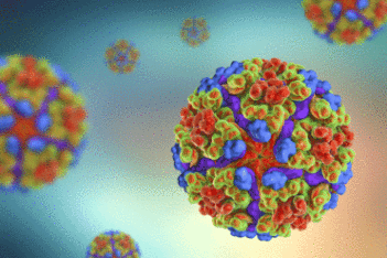 CEND investigator Eva Harris publishes paper on Chikungunya