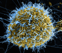 Coalition for Epidemic Preparedness Innovations (CEPI) strives to develop new vaccines for emerging infectious diseases