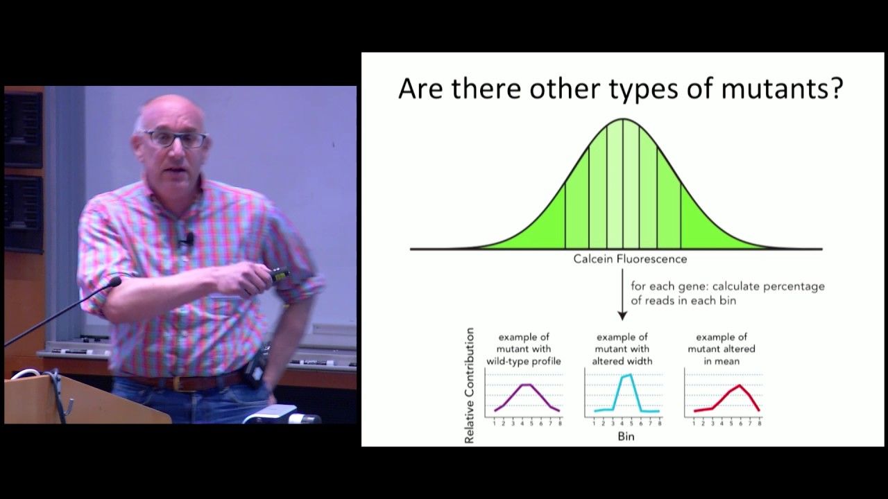 Eric Rubin, Harvard University