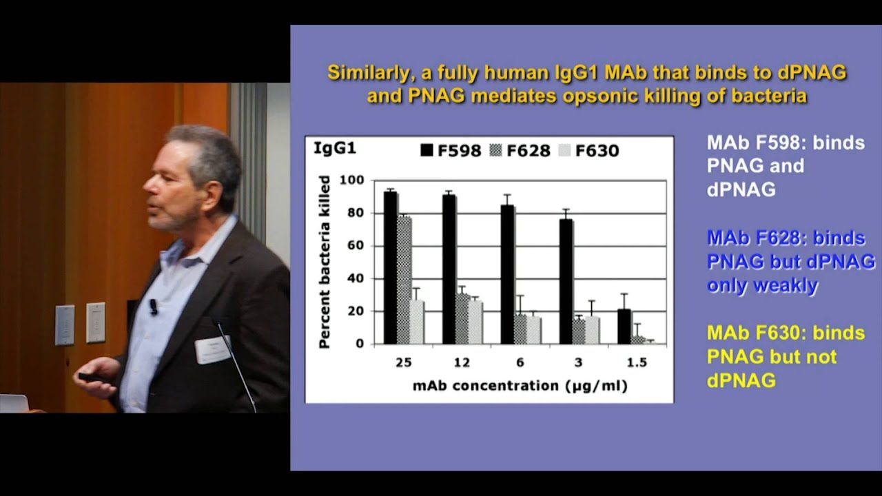 Gerald Pier, Harvard Medical School