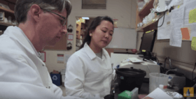 UC Berkeley pioneers immunotherapy