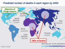 Internship Opportunity: Phages for Global Health (starting October 2018)