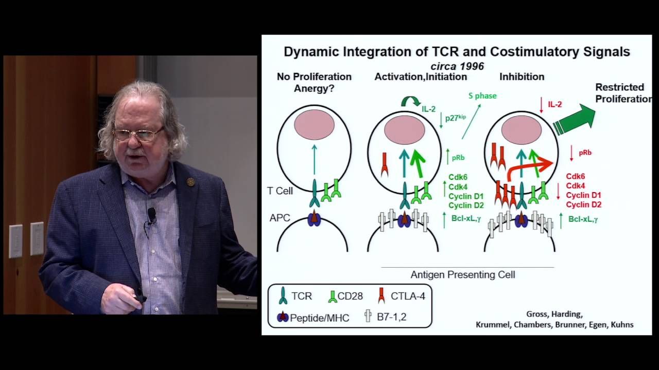 James P. Allison, Anderson Cancer Center