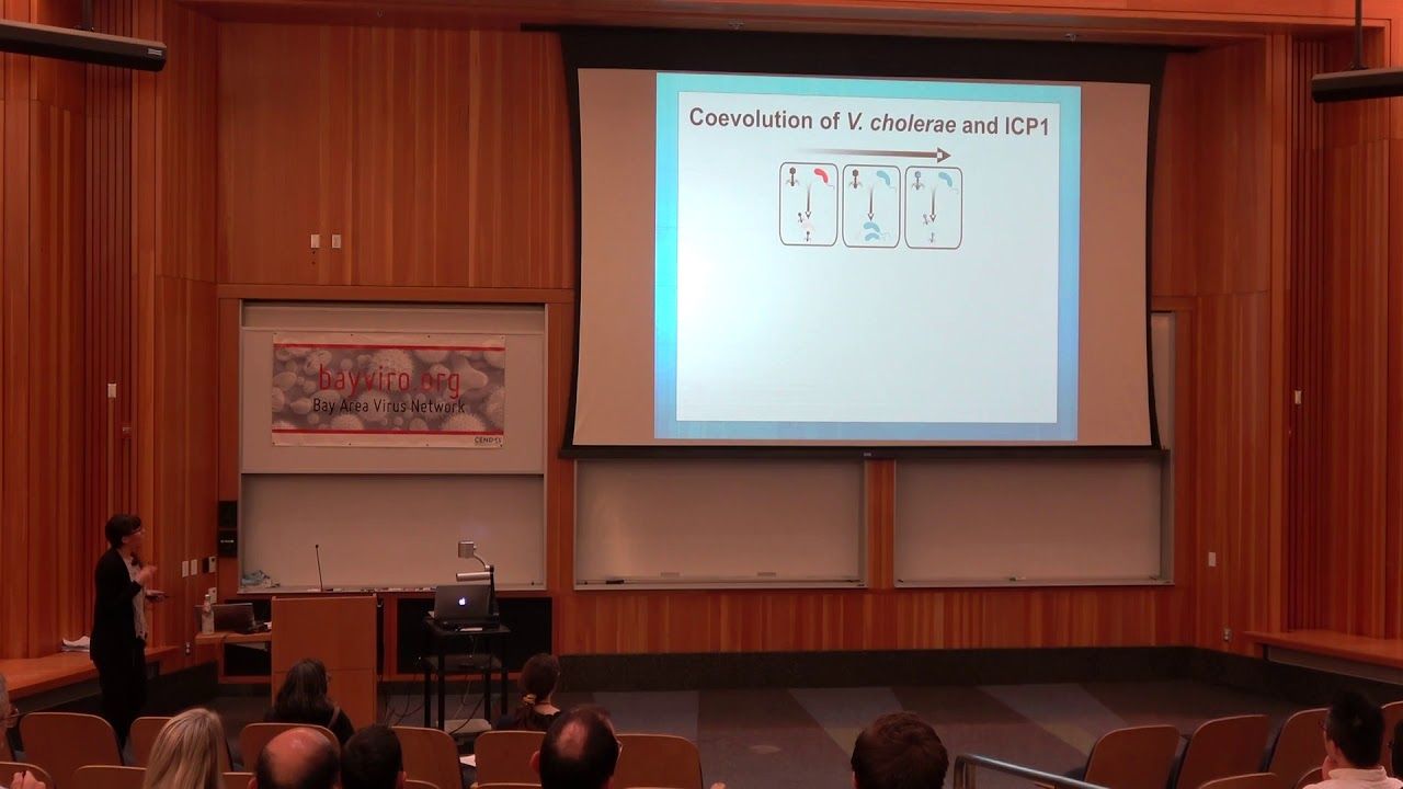 Kimberly Seed, UC Berkeley – 2018 8th Symposium on Viruses