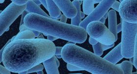 Apr 25, 2016: Why is cyclic di-AMP essential in Listeria monocytogenes?