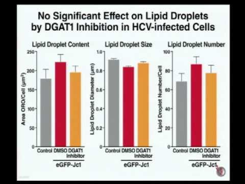 Melanie Ott, Gladstone Institute