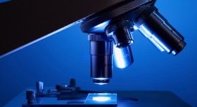 Feb 10, 2016: Discovery/Development of Novel Therapeutics for Eukaryotic Pathogens