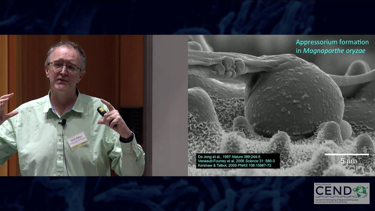 Nick Talbot, University of Exeter