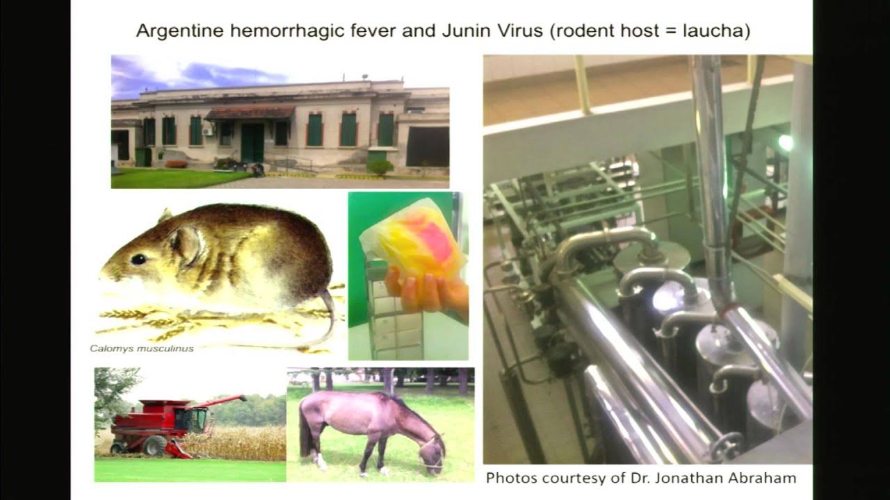 Sara Sawyer, University of Texas, Austin