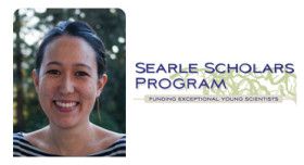 CEND-affiliated professor, Sarah Stanley, named 2014 Searle Scholar