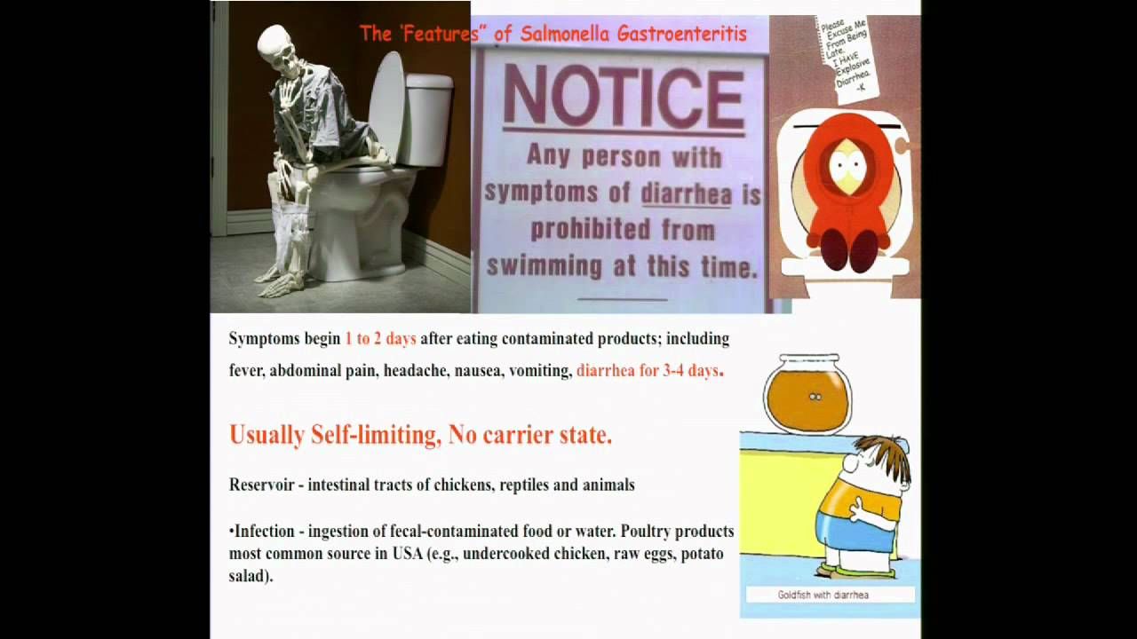 Stanley Falkow, Stanford