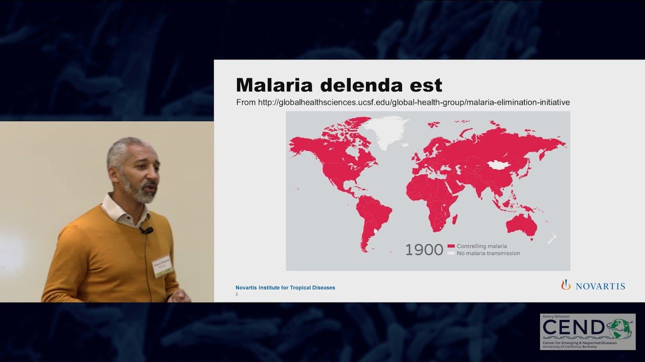 Thierry Diagana, Novartis Institutes for Biomedical Research