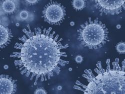 UCSF Scientists have devised a novel approach to halting the spread of SARS-CoV-2